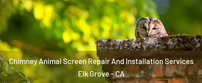 Chimney Animal Screen Repair And Installation Services Elk Grove - CA