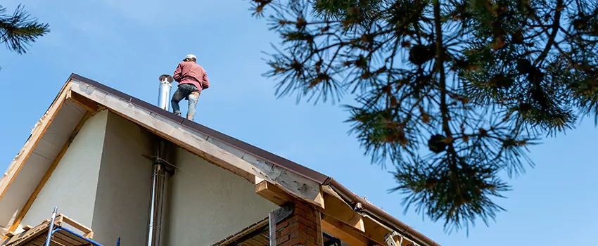 Birds Removal Contractors from Chimney in Elk Grove, CA