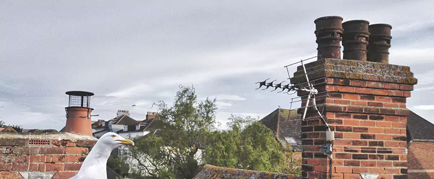 Chimney Cleaning And Restoration in Elk Grove, California