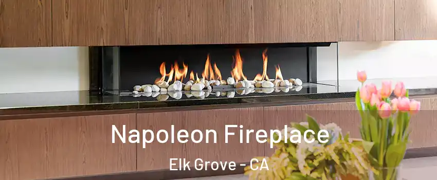 Napoleon Fireplace Elk Grove - CA